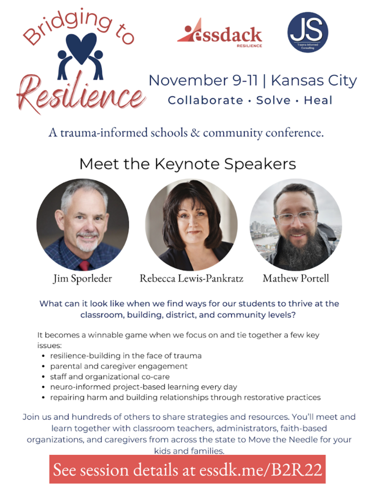 Bridging to Resilience Traumainformed Schools and Community